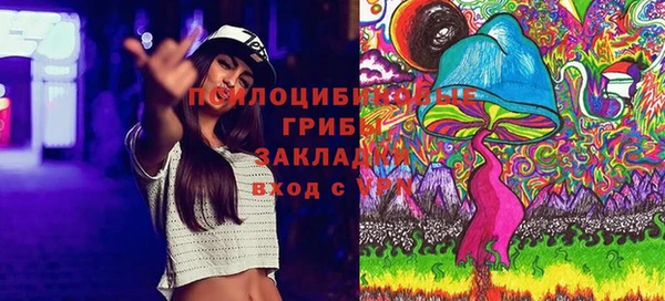 Альфа ПВП Новозыбков
