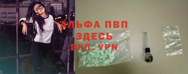 Альфа ПВП Новозыбков