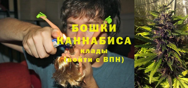 Альфа ПВП Новозыбков