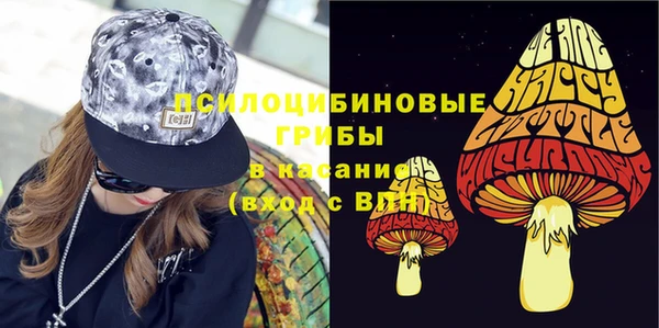 МДПВ Нефтегорск