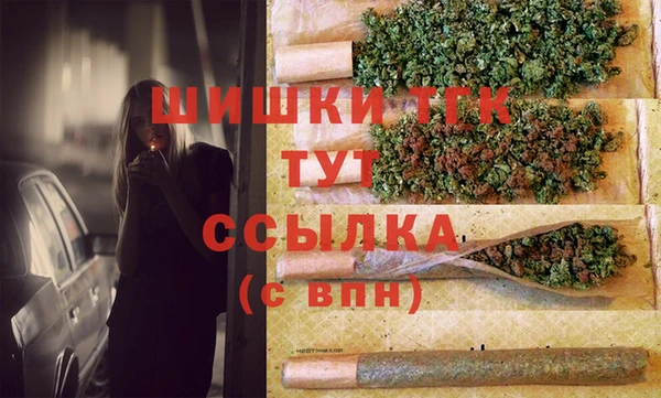 mdpv Новодвинск