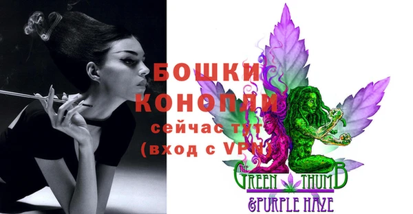 Альфа ПВП Новозыбков