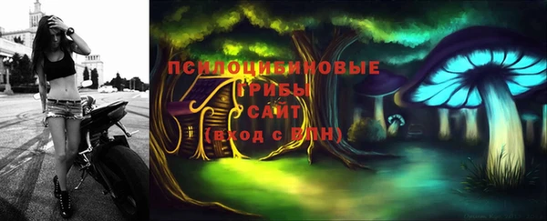 Альфа ПВП Новозыбков