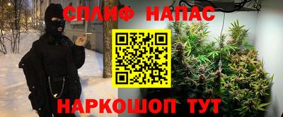 герыч Бийск