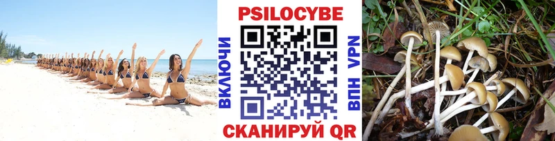 Галлюциногенные грибы мицелий  наркота  Семилуки 