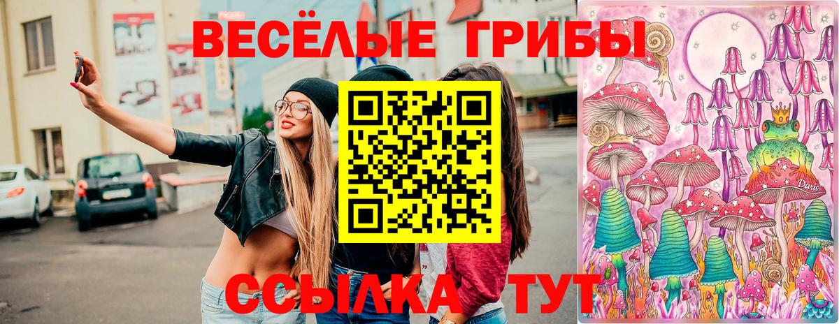 Псилоцибиновые грибы Cubensis  Семилуки 