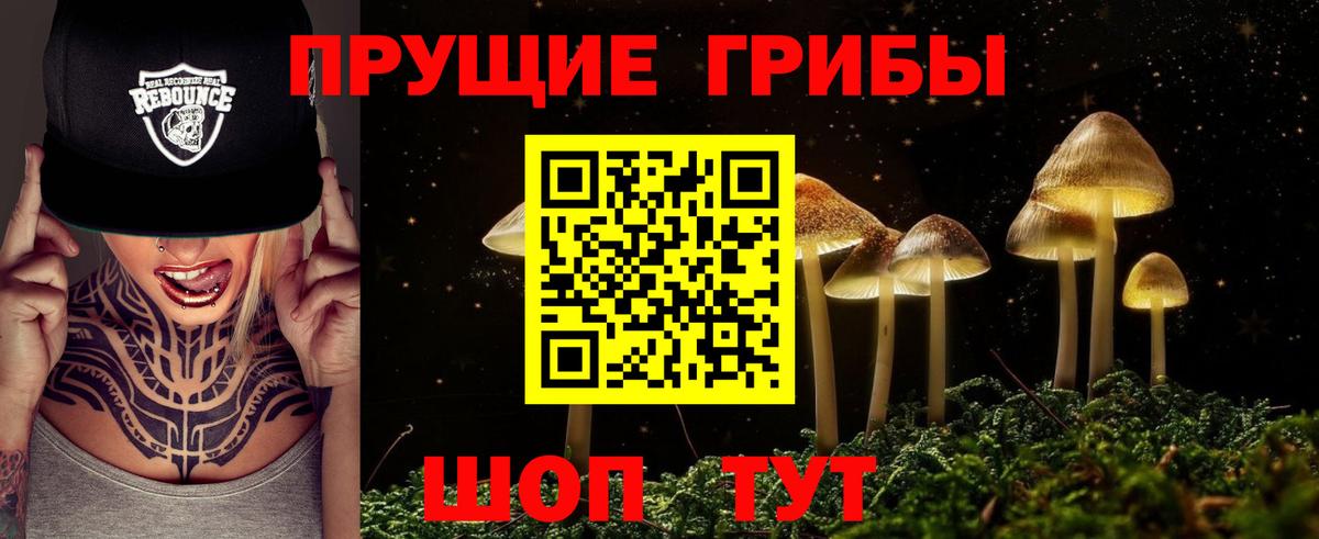 сколько стоит  Галлюциногенные грибы Psilocybe  Вход с VPN  Семилуки  Галлюциногенные грибы GOLDEN TEACHER 